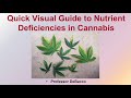 Quick Visual Guide to Nutrient Deficiencies in Cannabis