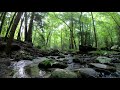 Meditation, Relaxing, Cold Mountain Stream - Great Smoky Mountains - 4K 1 Hour Version