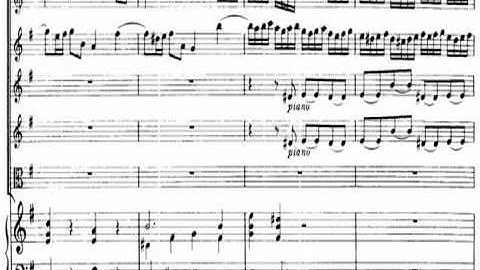 [Classic] Telemann: Concerto for Flute & Recorder & Strings in e, TWV 52:e1