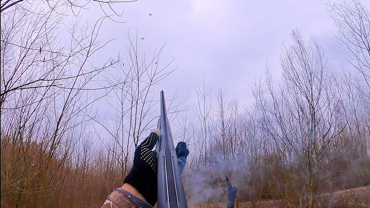 იხვზე ნადირობა