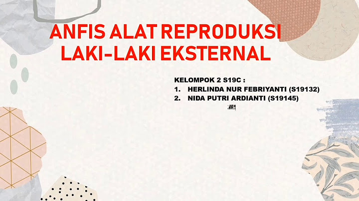 Berikut ini yang bukan alat reproduksi laki laki adalah