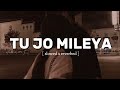 Tu jo mileya mileya ay  slowed x reverbed 