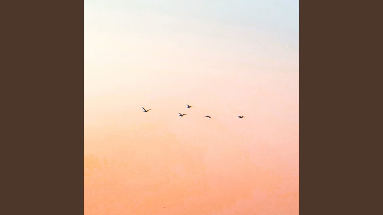 Watch birds on YouTube Watch birds on YouTube