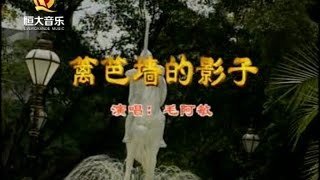 Video thumbnail of "毛阿敏 - 篱笆墙的影子"