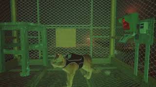 Stray: Rooftops Elevator