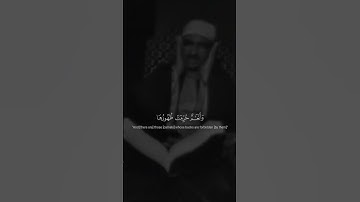 ﴿لَّا يَطْعَمُهَآ إِلَّا مَن نَّشَآءُ﴾ |تلاوة مرئية للقارئ محمد صديق المنشاوي #قرآن #اكسبلور.