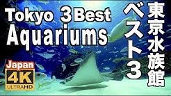 Discover Nippon Youtube