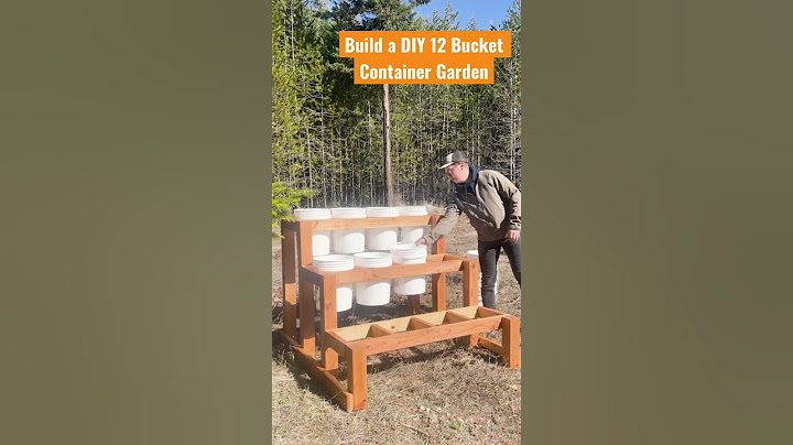 DIY 12 Bucket Container Garden #shorts #garden #gardening #growyourownfood #homesteading