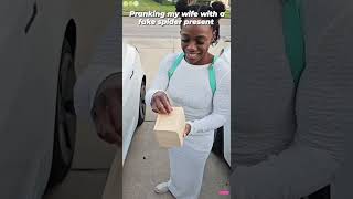 Funny Videos, Laugh Out Loud