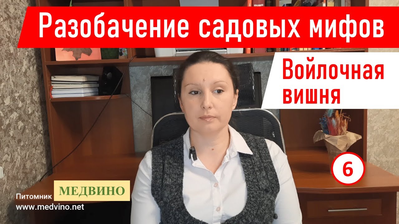 Разоблачаем садовые мифы. Миф 6: Войлочная вишня
