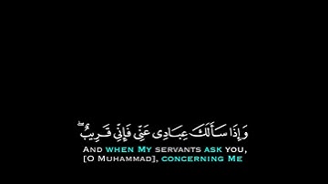 31# تلاوة هادئة وقصيرة { بخلفية سوداء } || القارئ : وديع اليمني  || سورة : البقرة   🌷💚🌷