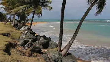 Beach Vacation Relaxation   Waves Crashing, Sand, Surf, & Palm Trees