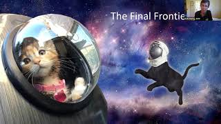 Kitten Intake Decisions in the Animal Shelter - webcast
