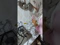ЩЉЩ Щ ЩЉШ ШЄ ШµШЁЩЉШ ШЄЩ Щ ШіЩЉШ ШЄШ ШЄЩЉШЁ Ш Щ ШЄЩЉЩ ШЄЩ ШёЩЉЩЃ вќ пёЏвќ пёЏвќ пёЏвќ пёЏвќ пёЏвќ пёЏвќ пёЏвќ пёЏвќ пёЏвќ пёЏвќ пёЏвќ пёЏвќ пёЏвќ пёЏ ЩЉЩ Щ ЩЉШ ШЄ ШµШЁЩЉШ ШЄЩ Щ ШіЩЉШ ШЄШ ШЄЩЉШЁ Ш Щ ШЄЩЉЩ ШЄЩ ШёЩЉЩЃ вќ пёЏвќ пёЏвќ пёЏвќ пёЏвќ пёЏвќ пёЏвќ пёЏвќ пёЏвќ пёЏвќ пёЏвќ пёЏвќ пёЏвќ пёЏвќ пёЏ