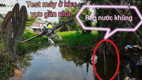 Tập 21 ✅ Câu cá lóc dạo ở khu vực Long Định Cần Đước Long An cũ 