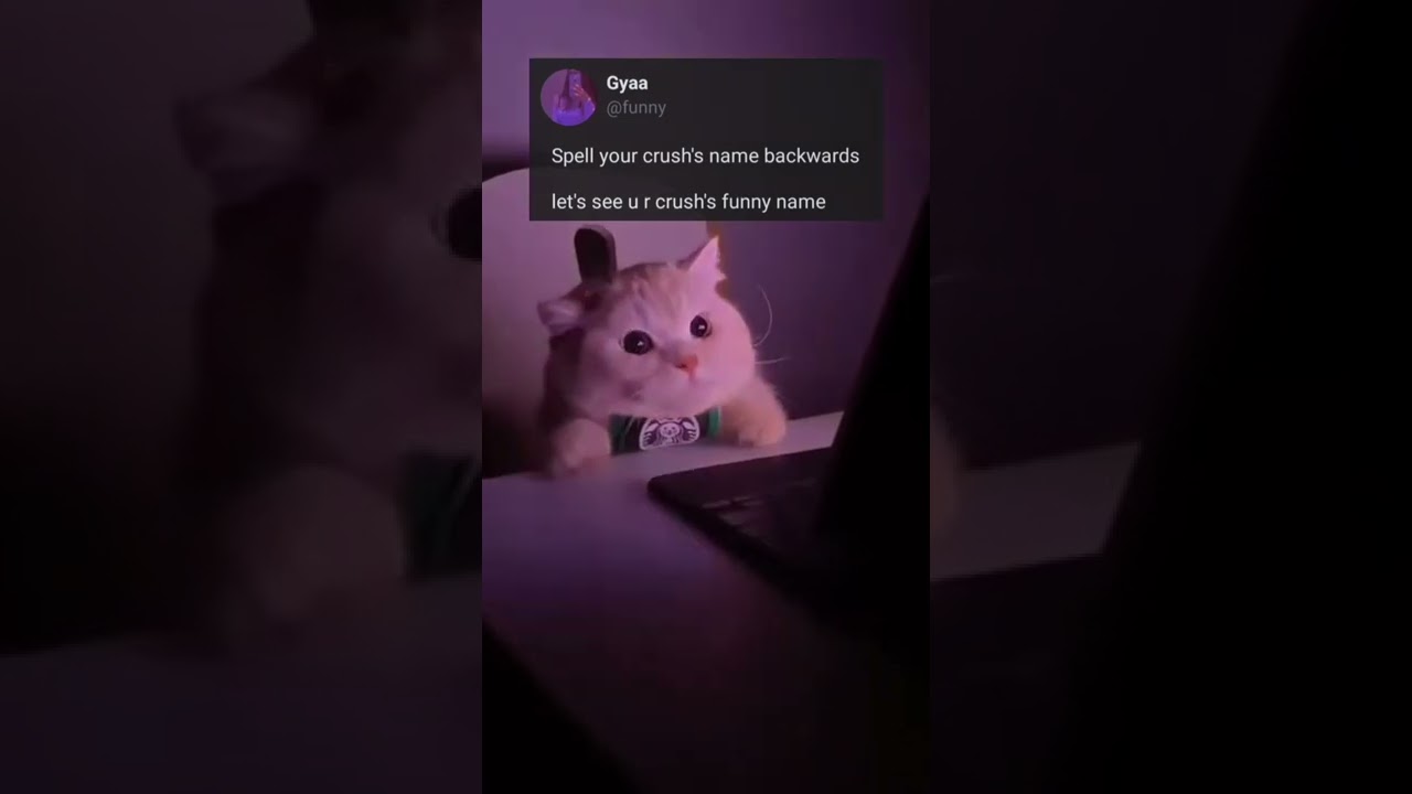 new funny fake tweet reels