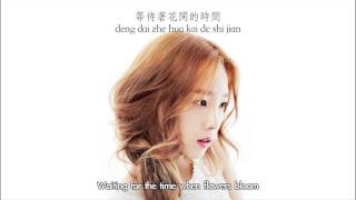 Taeyeon - Bye Chinese Ver. (Chinese & Hanyu Pinyin & Eng sub) [Mr. Go OST]