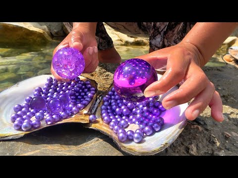 Uncovering the Mystery of River Clams: The Story of a Girl Collecting Purple Pearl