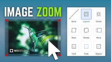 How To Make Image Zoom in Wix Studio | Hover Over Expand Effect