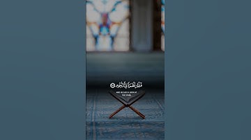 تلاوة خاشعة ومريحة #راحة_نفسية #تلاوة_خاشعة #القرآن_الكريم #آيات #قرآن #اكسبلور #reels