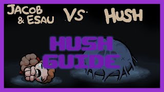 Hush Guide in less than 9 Minutes