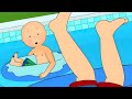 Swimming Lessons | Caillou&#39;s New Adventures