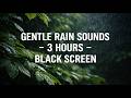 Fall Asleep Instantly 🌧️ Soft Rain Sounds | 3 Hours - Black Screen | Relaxing ASMR | Sleep Aid