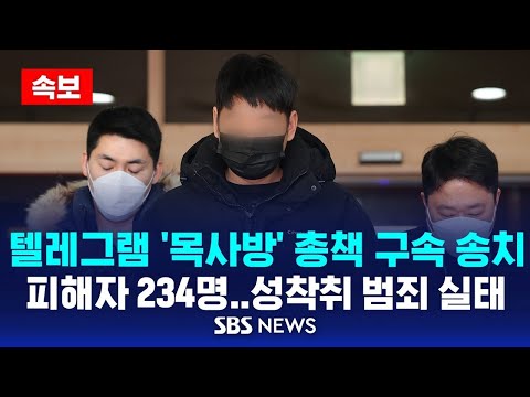 라이브 - SBS 뉴스