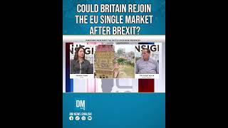 Could Britain Rejoin the EU Single Market After Brexit