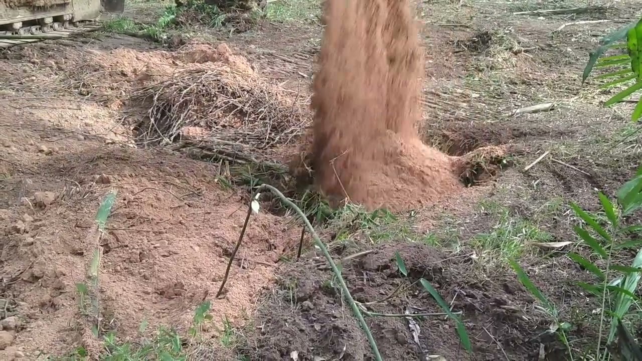 ลดการเผา ลดฝุ่น pm 2.5 ด้วยการฝังกลบ #การเกษตร #เผา #รถแบคโฮ 