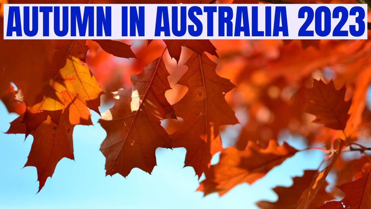 Autumn in Australia 2023 / 4K YouTube