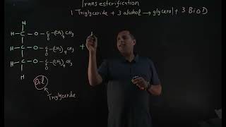 Biodiesel Part 3: Transesterification