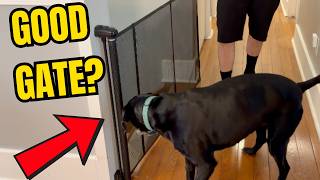 Indoor/Outdoor Retractable Dog Gate for Stairs &amp; Deck