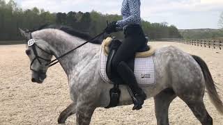 Giftatnoon - Flat Schooling at Chatt Hills