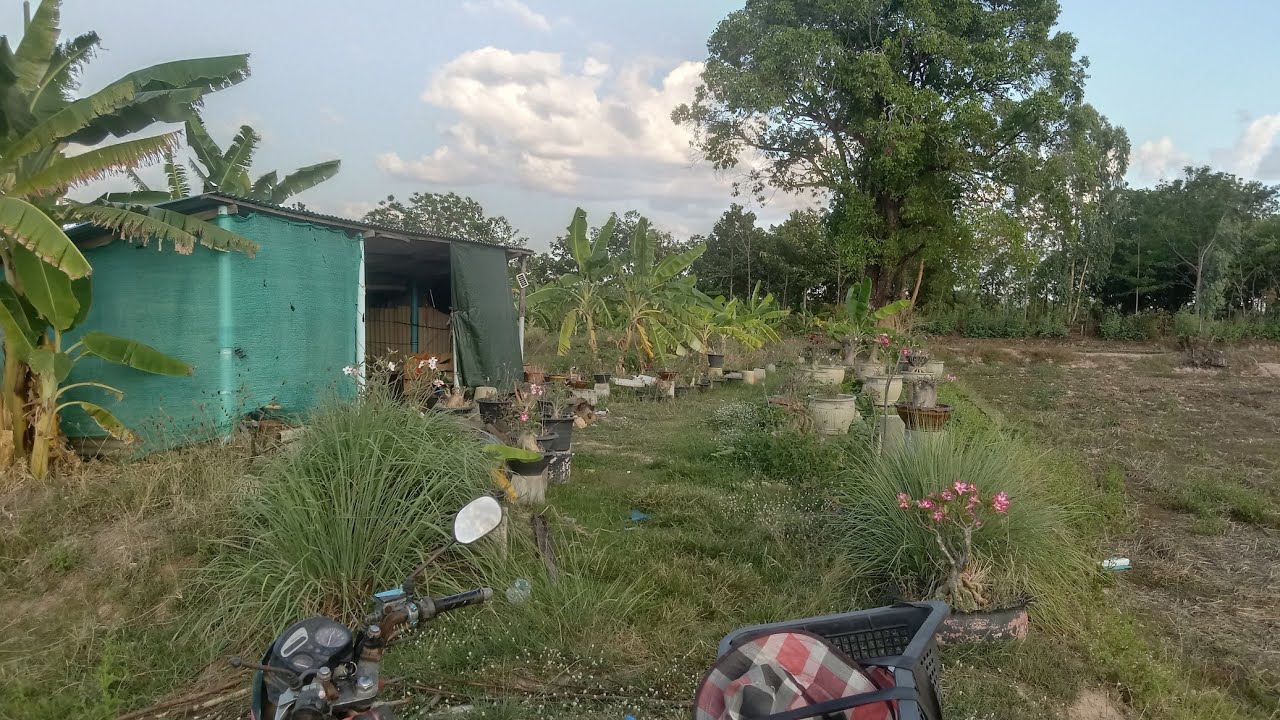 บ้านสวน ยูเคอีสาน 9 มี.ค.69 ไลน์ 0900289166