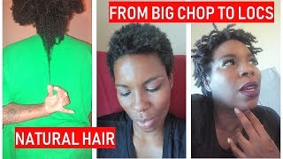 Big Chop to Locs / Natural Hair