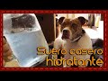 Tip: Cómo hacer suero para perros deshidratados