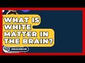 What Is White Matter In The Brain? - Brain Development Hub
