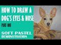 How to Draw a Dog&#39;s Eyes and Nose - PART ONE - Pet Portraits - Realism in Soft Pastel - 41 minutes