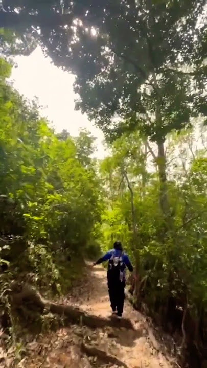 #music #dangdut #bawa happy ajah...🤣😍