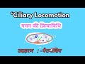 पैरामिशिय में गमन की क्रियाविधि ।। 1 effective stroke & Recovery stroke|| by sumer sir