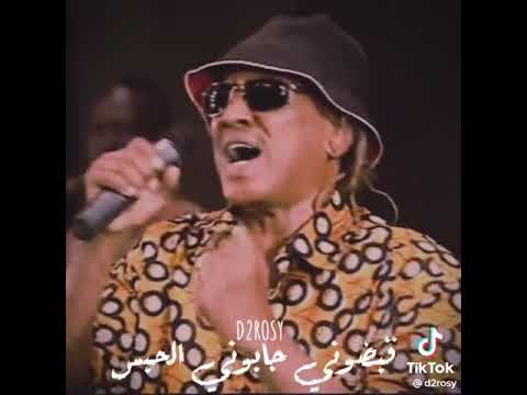 نور الجيلاني خواطر فيل