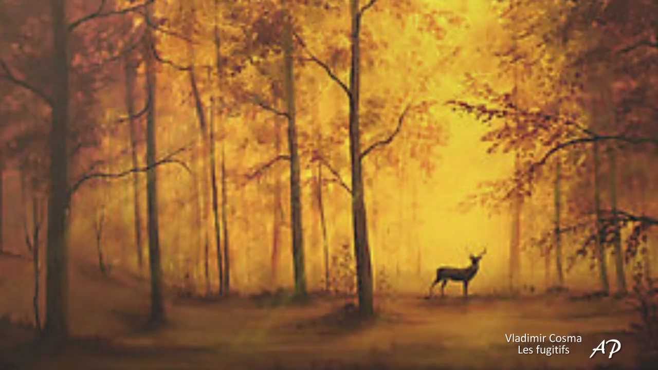 VLADIMIR COSMA - Les fugitifs - YouTube