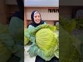مطبخي لعبتي ازاي تنقي الكرنب الحلو المسكر فاطمة ابو حاتي Youtubeshorts Food Shorts Reels 