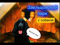 Заельцовский парк.Знакомим с нашей собакой.Попали под град.Верёвочный парк.Едим дикие ранетки.