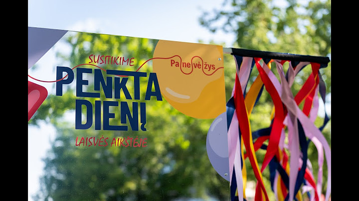 DIENOS KLAUSIMAS. Ar panevėžiečiai dalyvauja vasaros festivaliuose?