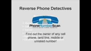 Reverse Phone Detectives