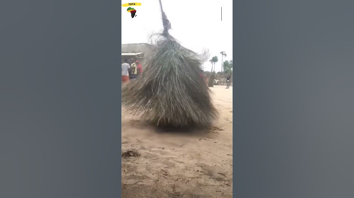 Do you think this is cool or scary? (Zangbeto) #shorts #zangbeto