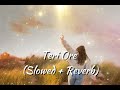 Teri Ore (Slowed + Reverb) Rahat Fateh Ali Khan, Shreya Ghoshal | @ Lofi Audio Aub