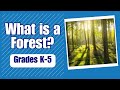 Exploring Forest Habitats: Learn about the plants and animals in different forest habitats